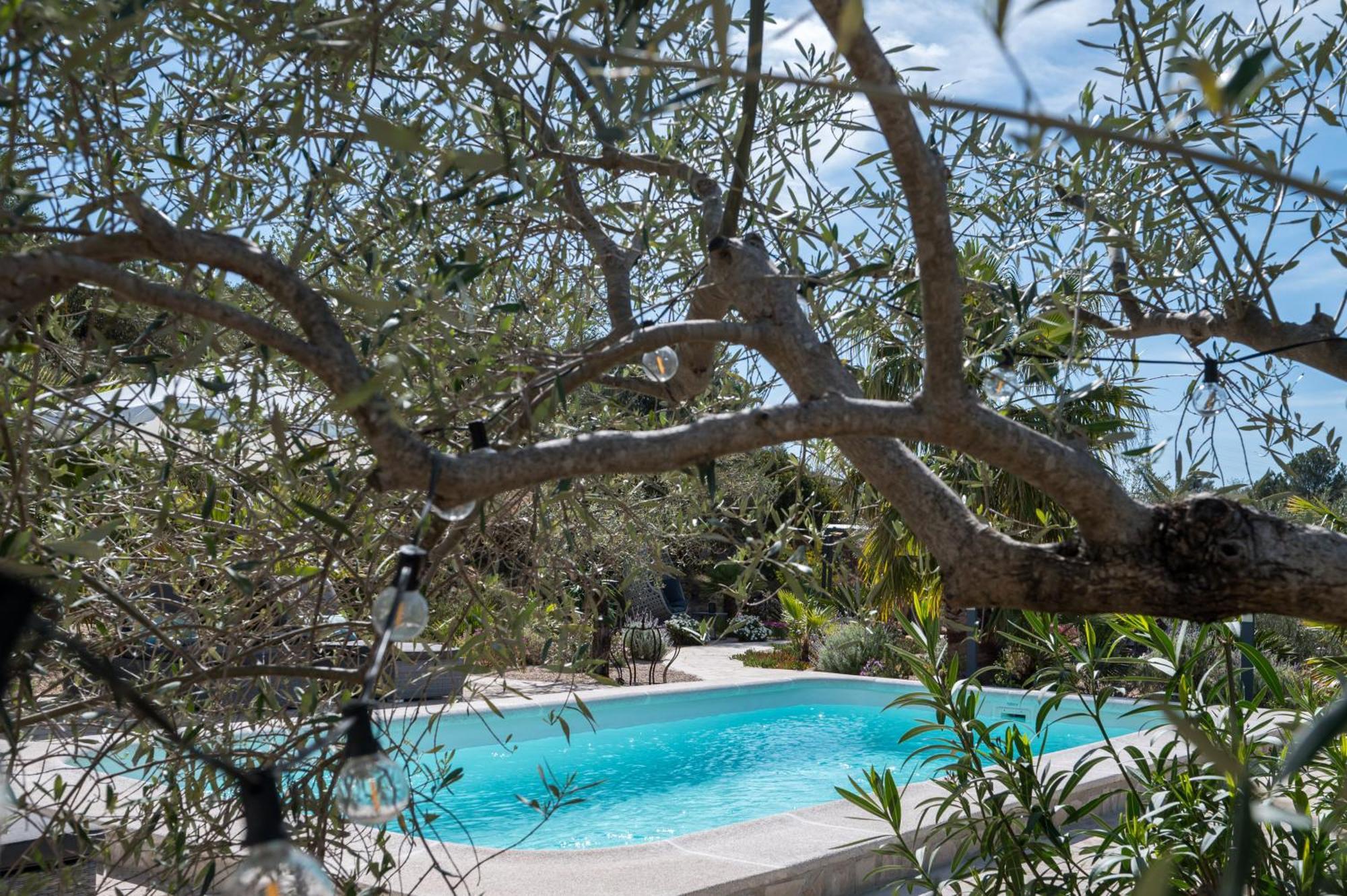 Casa De Olivos - Unique Apartments - Adult Only Traiguera Exteriör bild